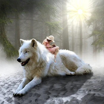 

5D Diy Diamond Painting Wolf and girl full Square Diamond Embroidery Wolf picture Cross Stitch Wall Sticker Home Decoration