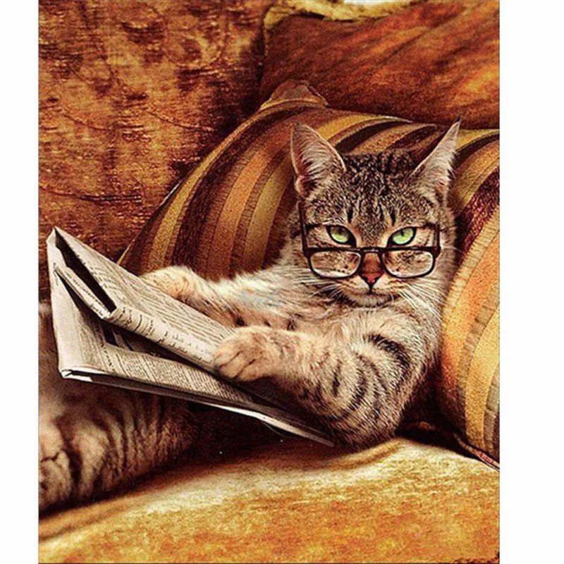 

Animals Cat DIY Oil Painting By Numbers 3D Pictures Linen Canvas Painting For Living Room Wall Art Home Decor