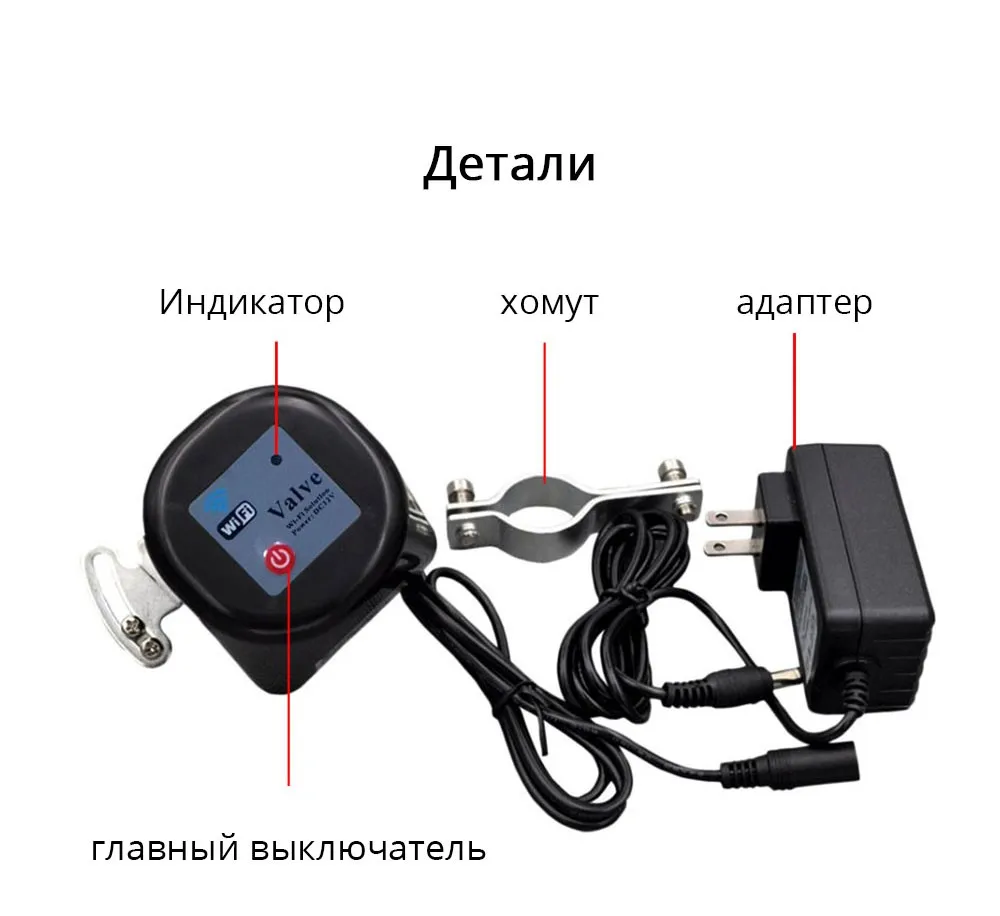 HTB1i6EQlZUrBKNjSZPxq6x00pXaZ