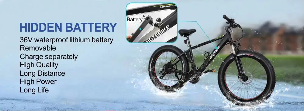 fat electric bike (2)
