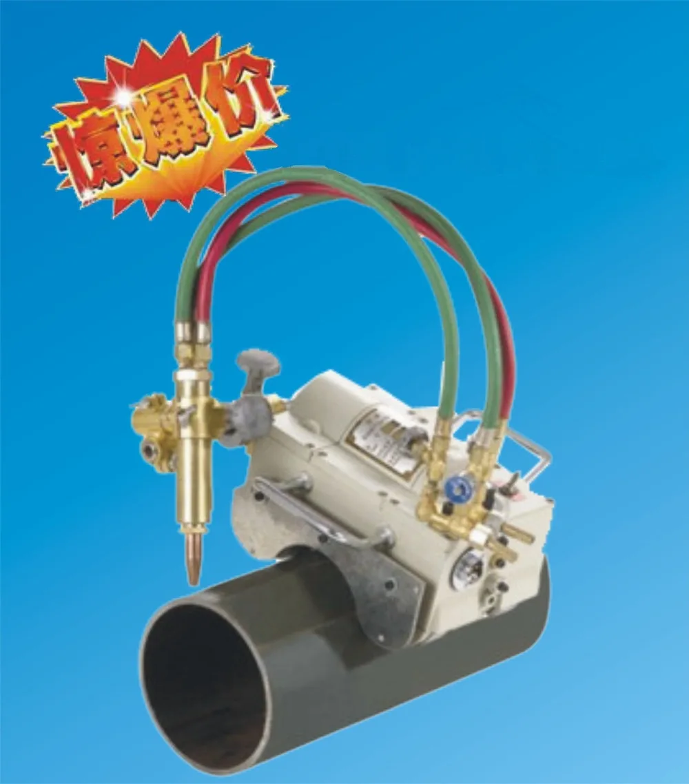 Buy Free Shipping 220V CG2 11 oxy fuel oxy acetylene