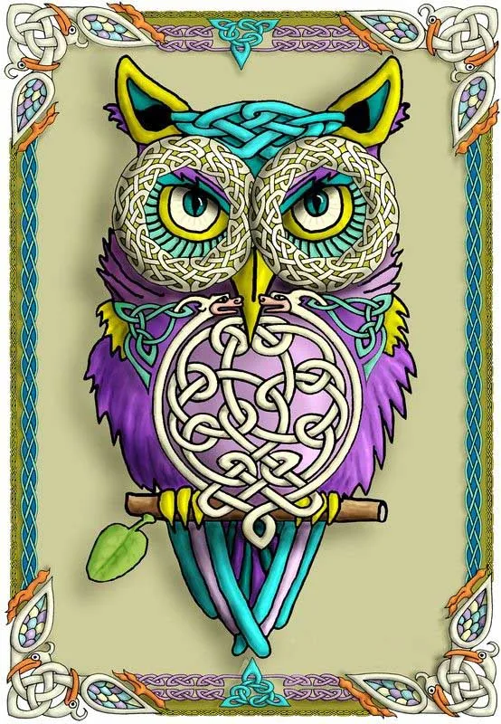 

Diamond Painting Cross Stitch Diy Diamond Embroidery Color Owl In The Garden Square Drill Diamond Mosaic Pasted Needlework