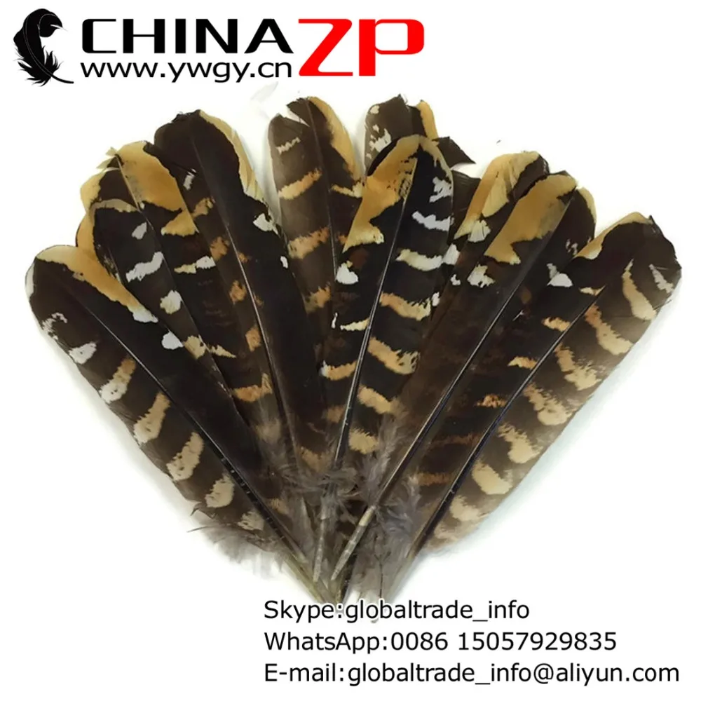 

Leading Supplier CHINAZP Factory 100pcs/lot Selected Top Quality Natural Reeves Venery Pheasant Wing Feathers