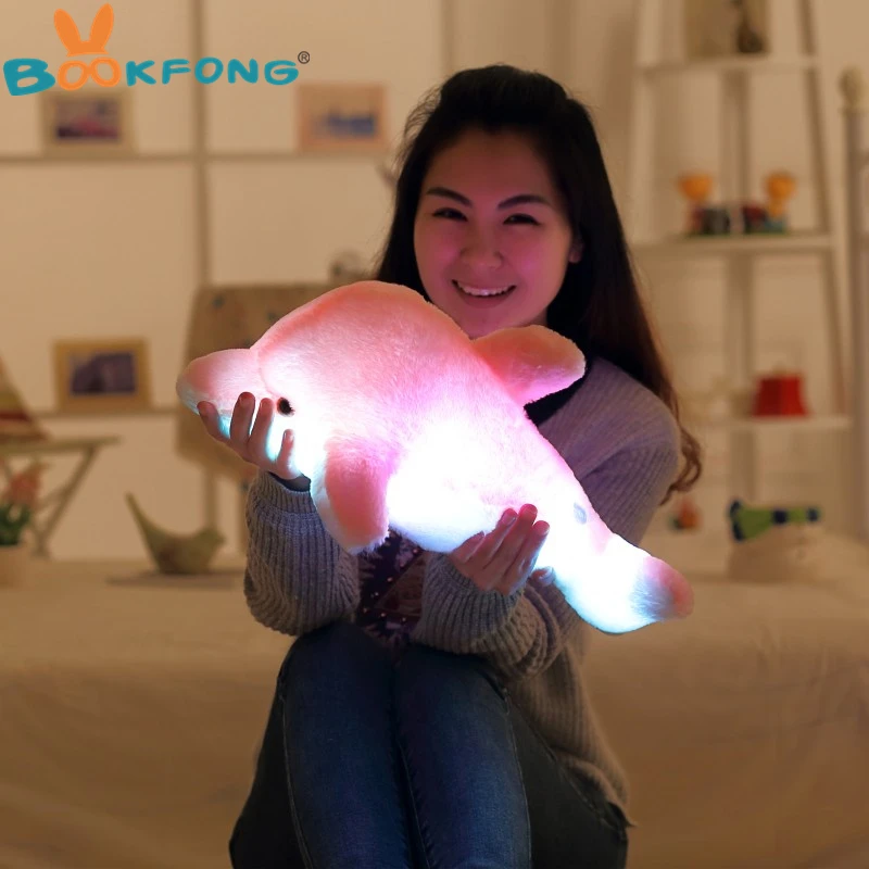 HTB1dn6wOpXXXXciXFXXq6xXFXXXJ