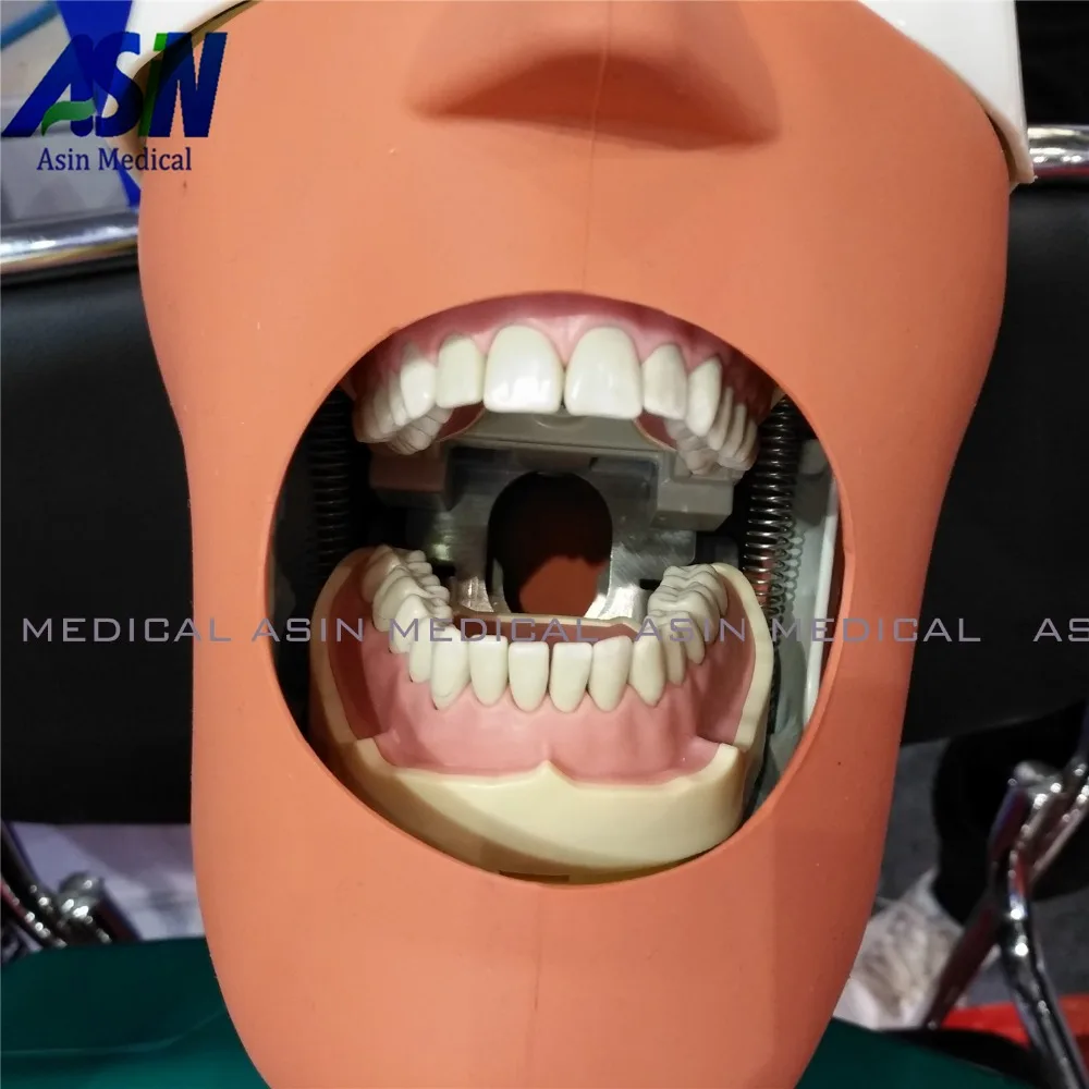 Новая модель зубных зубов из мягкой резинки, съемные 28 шт./32 шт. зубы NISSIN 200 KAVO, модель головы, совместимая с обучением стоматолога