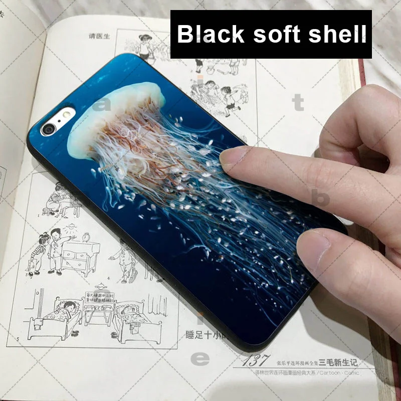 Jellyfish