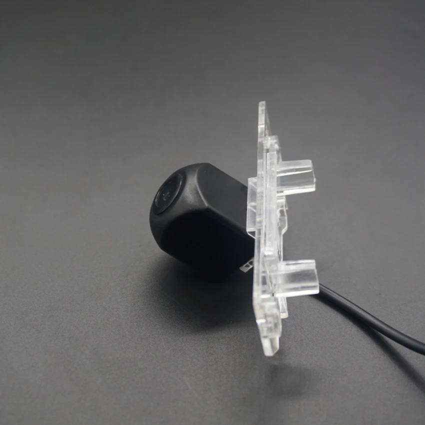 DSC06351