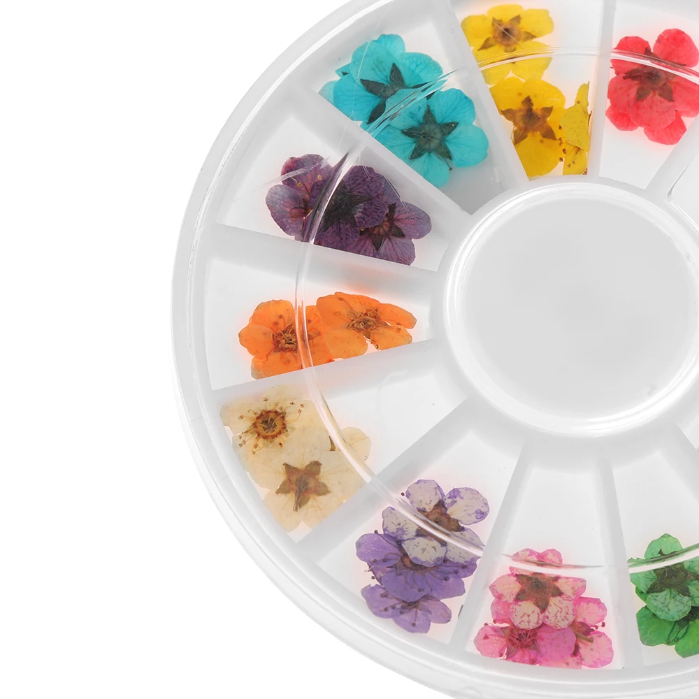 24 шт/колесо смешанный натуральный сушеный цветок для ногтей DIY 3D прессованный цветок лист слайдер наклейка лак для ногтей украшения маникюра