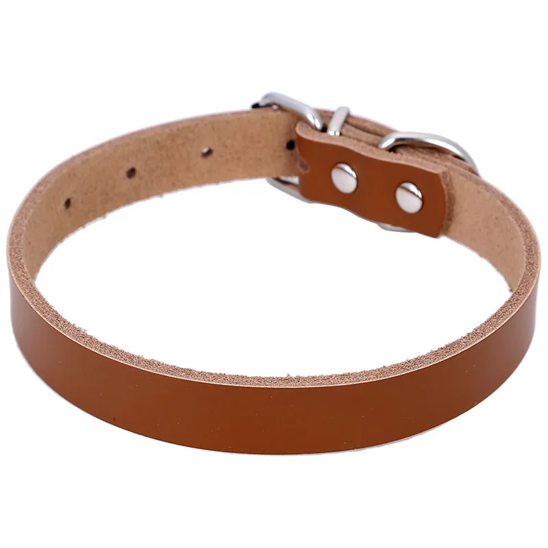 Download Solid Color Real Leather Dog Collar Neck Strap Four Colors ...