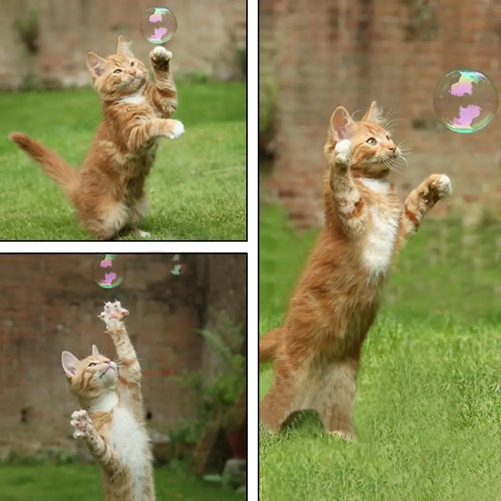 Catnip Bubble 2