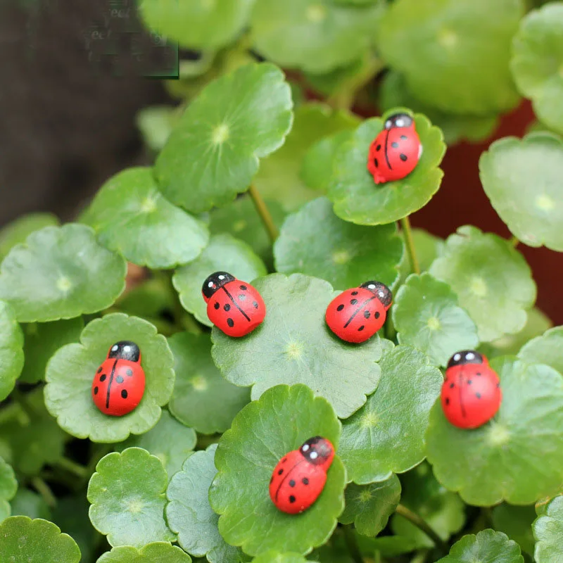 

min order $10, Mini world landscaping decorative micro artificial mini Ladybird insect DIY accessories wood craft gift