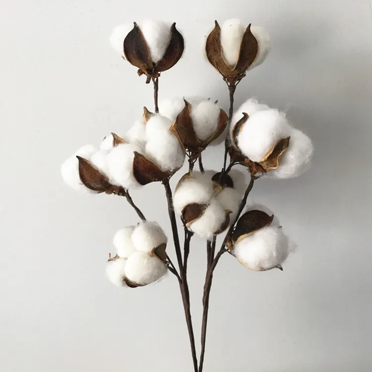 Flone 6 Head Dried Flower Cotton Branch Cotton Long Branch Simulation Cotton Tree Branch Home Wedding Decor Artificial Flowers (2)