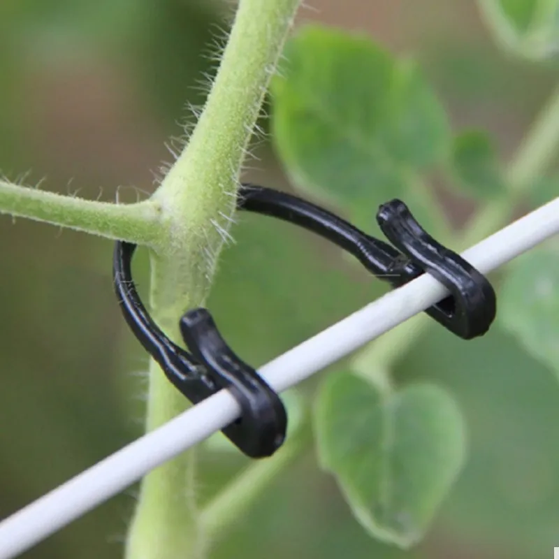 

100pcs Garden Plant Vines Tied Buckle Fixed Lashing Hook Agricultural Greenhouse Vegetable Gadget Garden Plastic Planters