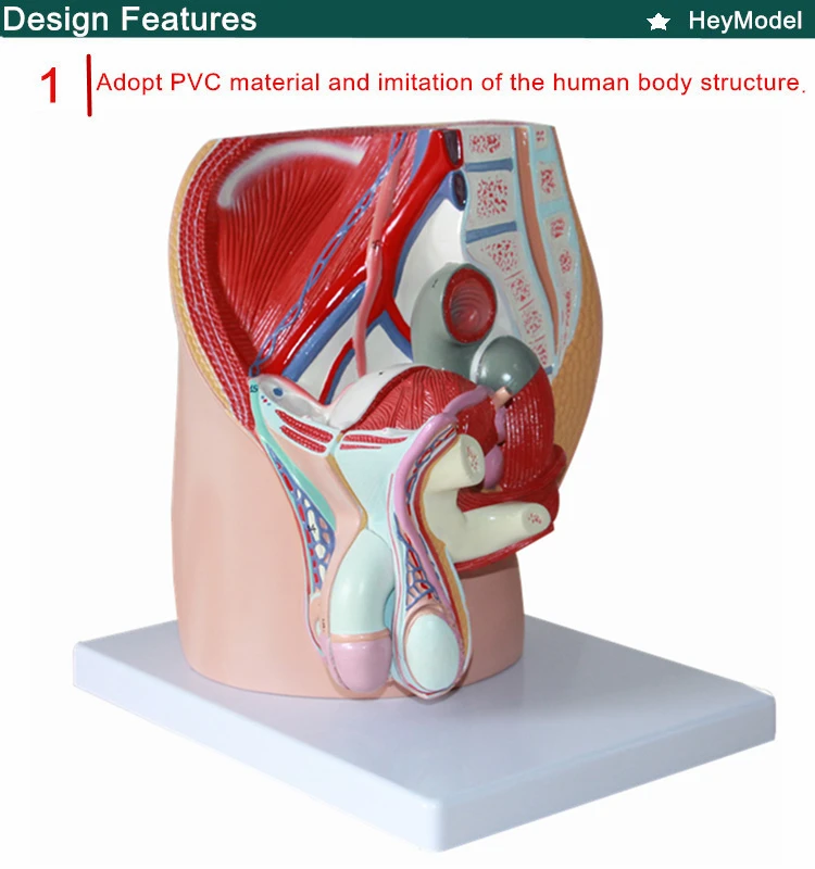 1.PVC_