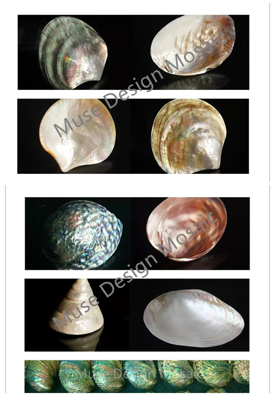 Shell Material_MD