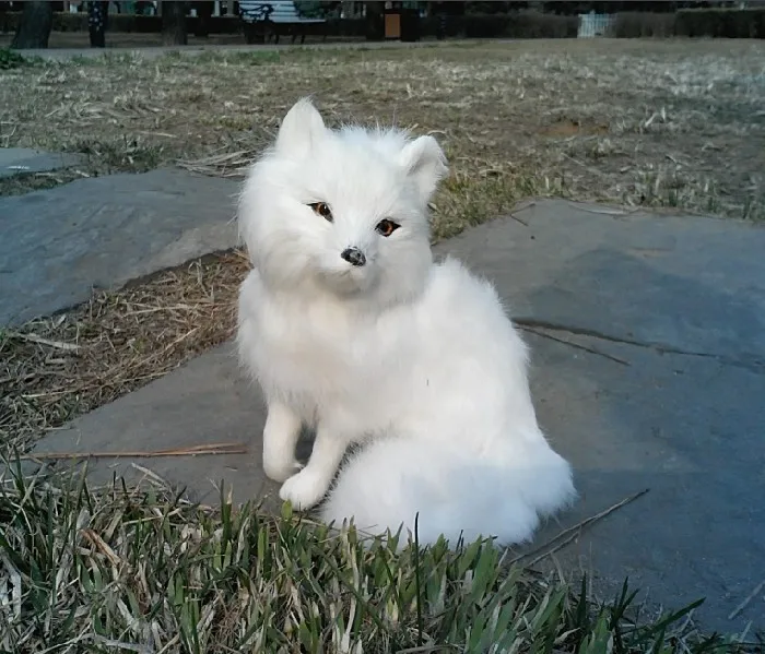 lovely simulation white fox toy emulation fox home decoration doll