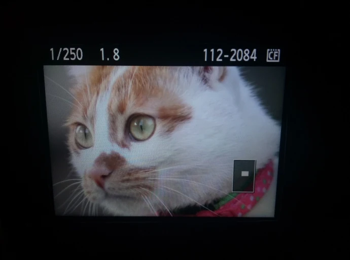 YONGNUO YN85mm F1.8 AF/MF Средний телеобъектив для Canon, полный срок ручной фокусировки объектива для 7DII 650D 5 DIII EOS камеры