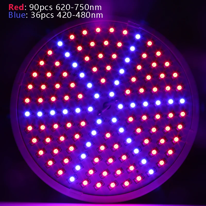 leds2
