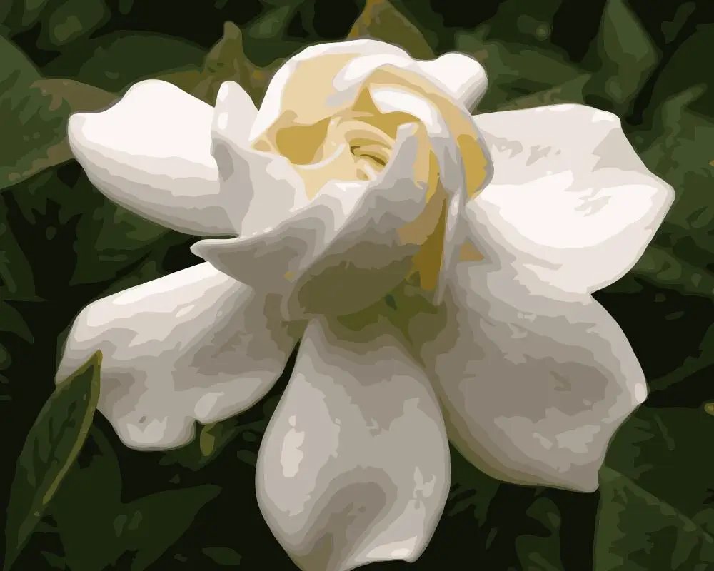 MaHuaf i917 pure gardenia painting by numbers flowers DIY oil digital