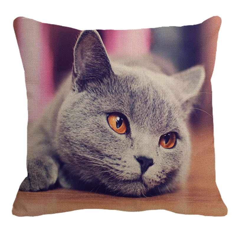 

Cute British Shorthair Cat Linen Pillowcase Sofa Decorative Pillow Cover Animal Pattern Square Cushion Cover 45X45cm AC011