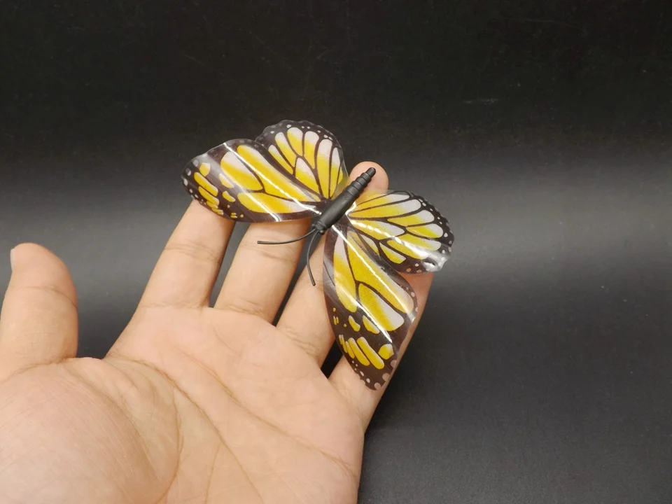 I271-Butterfly (2)