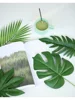 Various Simulated Leaves Plant Gold Green Leaf INS Photography Props Accessories For Home Office Photo Studio DIY Decoration ► Photo 1/6