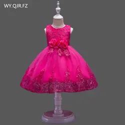 BH575M # бальное платье розовое платье с цветочным узором для девочек кружева производительность маленький хозяин Костюмы детской одежды