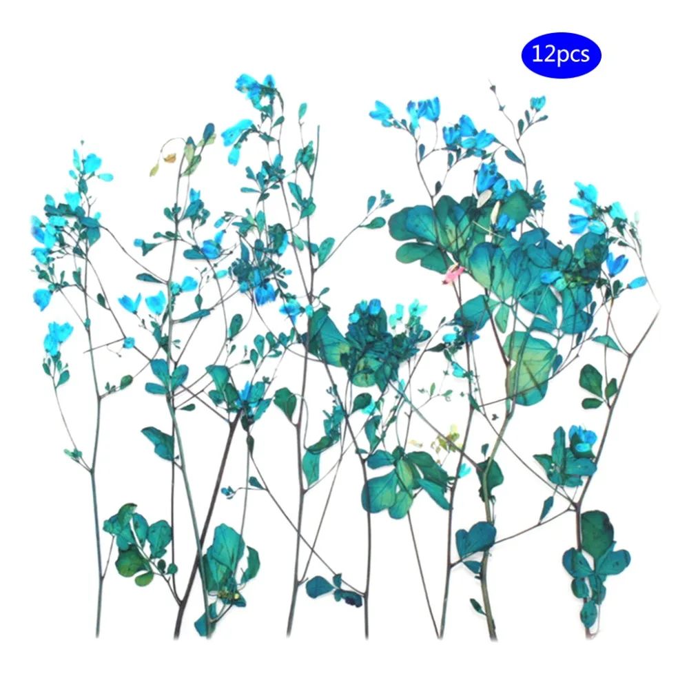 

12 Pcs/Set Dry Flower DIY Handmade Crafts Epoxy Resin Tools Jewelry Making Filling Flowers Floral Phone Case Bookmark Gifts 7 Co