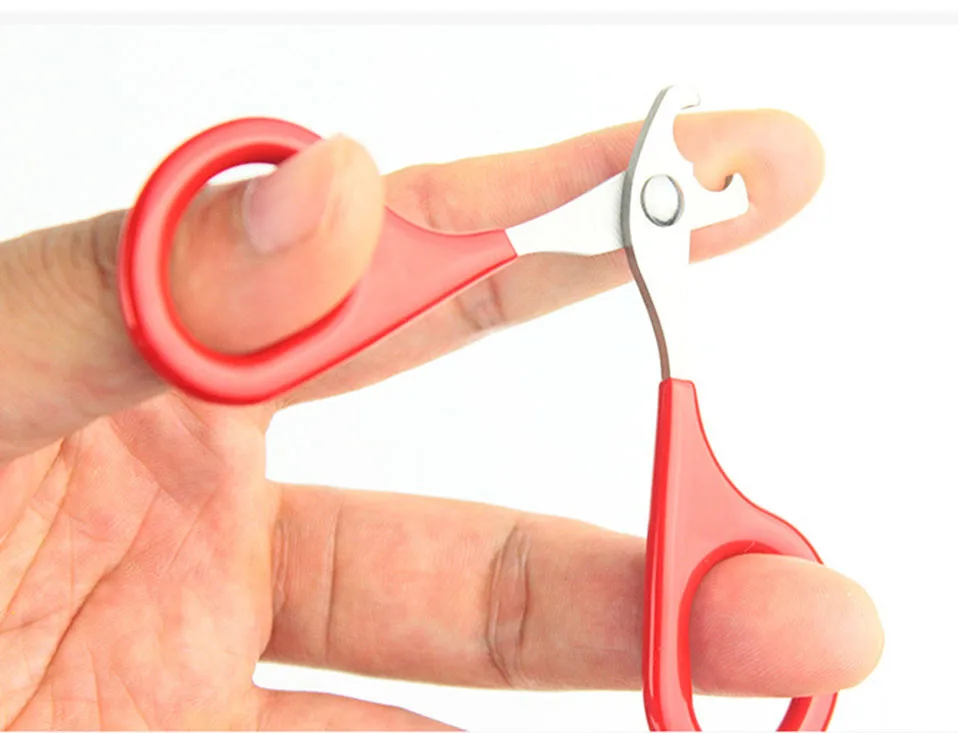 1 PCS Metallic red scissors for cats Solid and durable scissors for claws cat cats products for pets cat nails                   (12)