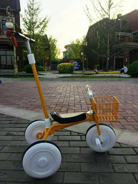 child cart for bike
