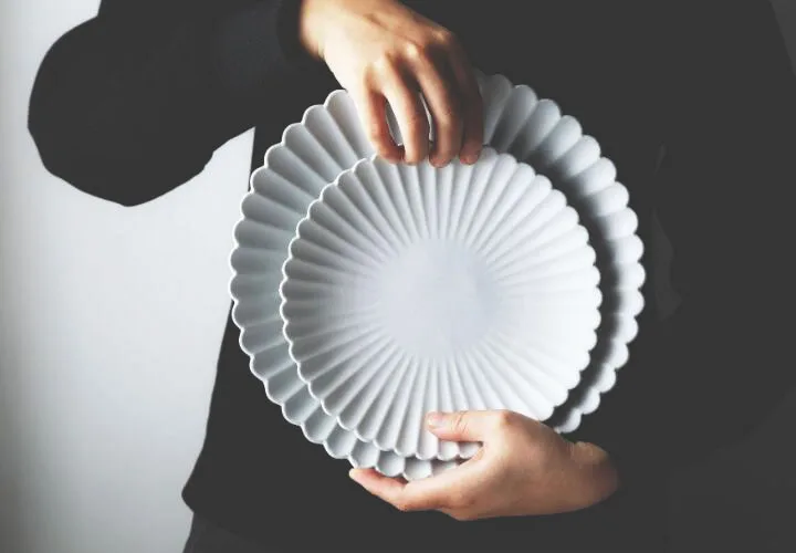 dish11
