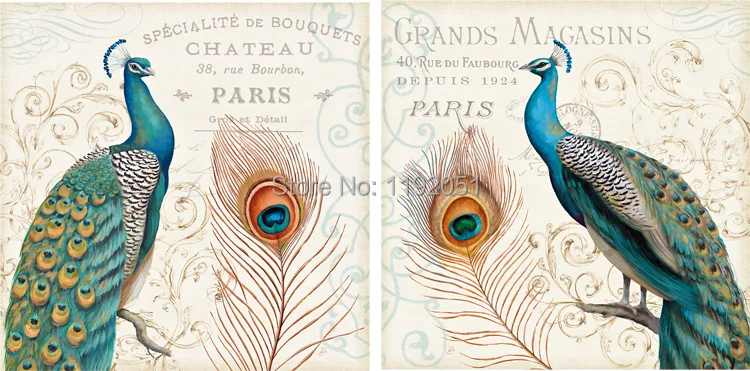    peacock art prints