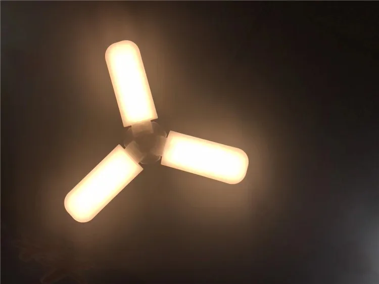 10933193397_764893938