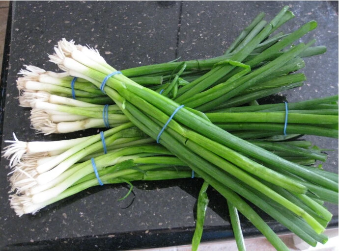 Купить шт./пакет 200 маленький зеленый лук бонсаи, органический ткацкий ...