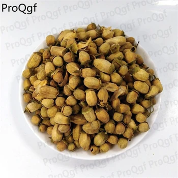 

Ngryise 300Gram A Set Bitter Orange Daidai