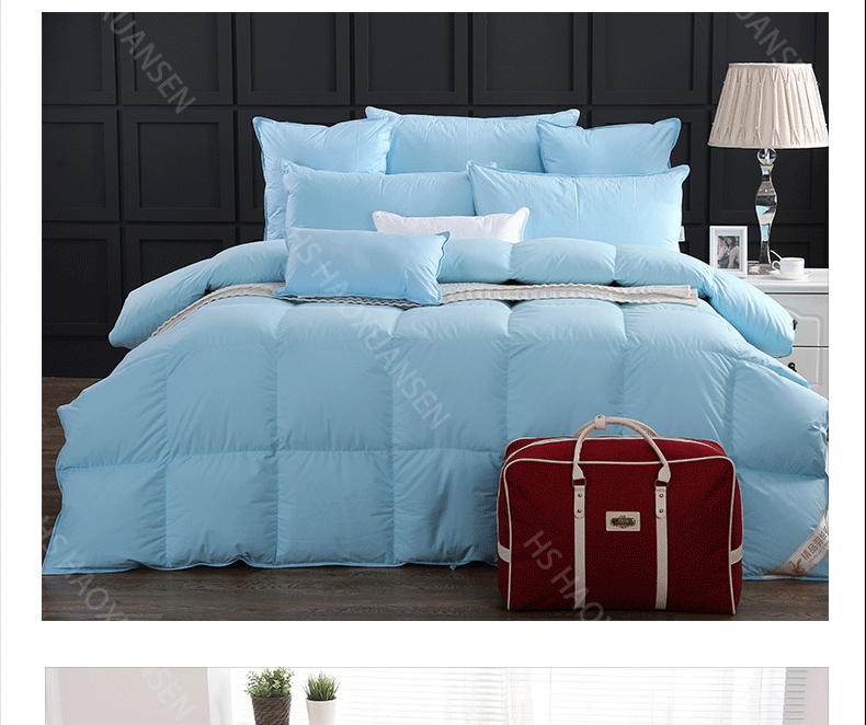 Blue 80S Fabric Filling Power 800 High Density Natural Colored Cotton Goose Down Quilt King Queen Twin Size Duvet 650TC Winter