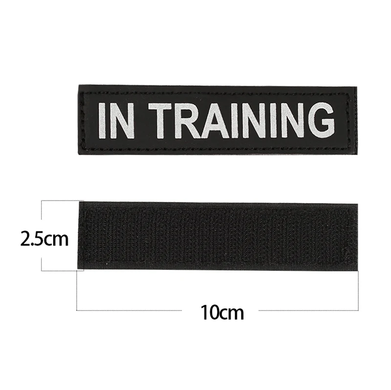 in-training