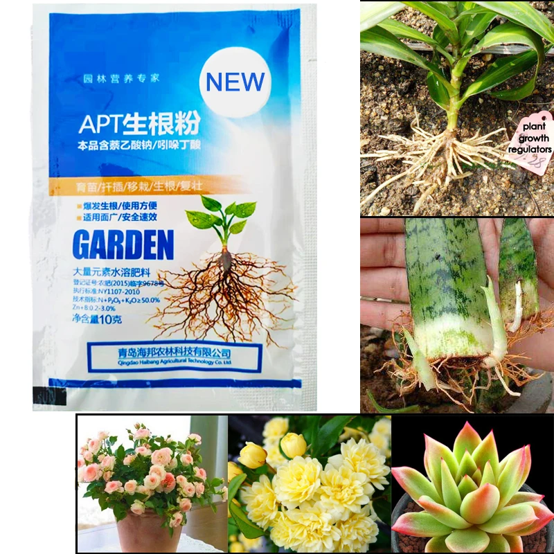 IBA Bonsai Tanaman Pertumbuhan Akar Regulator Hormon Obat Tumbuh Bibit Pemulihan Perkecambahan Semangat Membantu Pupuk Taman