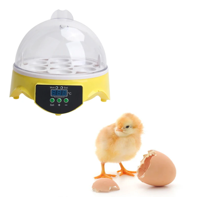 Mini 7 Eggs Incubator Poultry Incubator Brooder Digital Temperature Hatchery Egg Incubator Chicken Duck Bird Pigeon UK/US Plug Mini 7 Eggs Incubator Poultry Incubator Brooder Digital Temperature Hatchery Egg Incubator Chicken Duck Bird Pigeon UK/US Plug