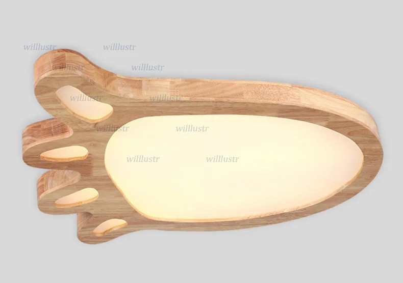 ceiling light  (6)