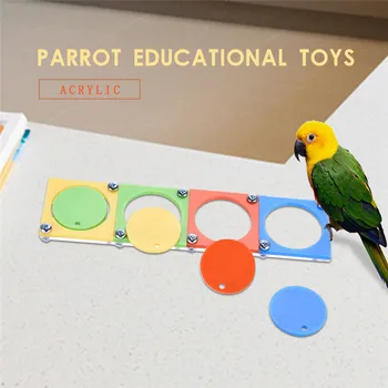 

Latest 2018 Puppy Pet Birds Parrot Acrylic Training Bird Toys Parrot Educational Toys Dropshipping