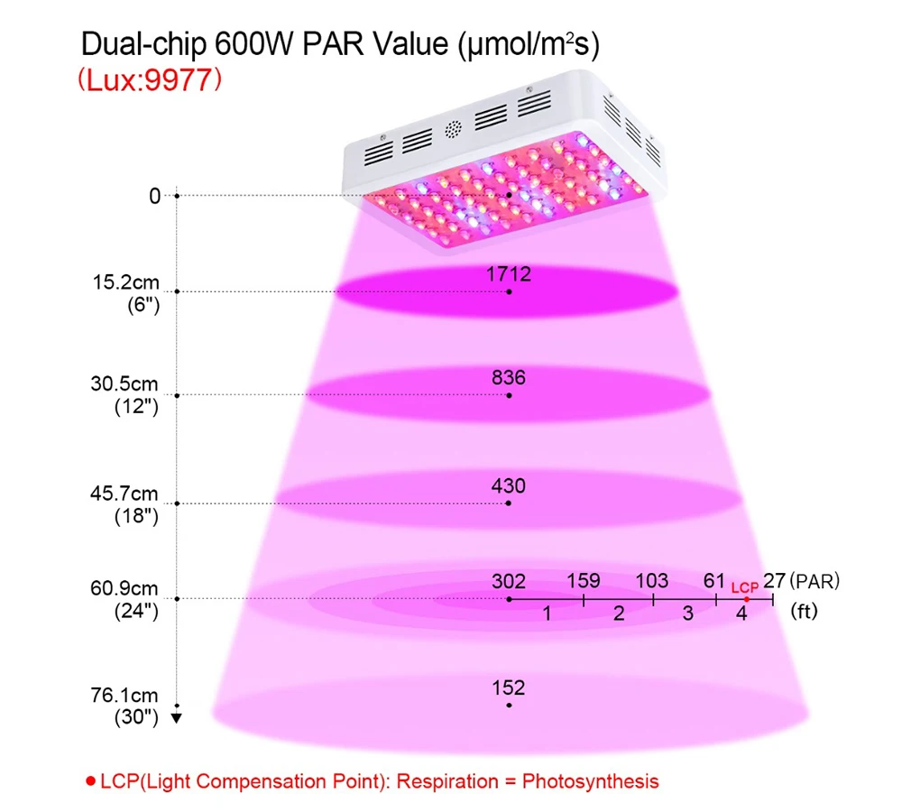 600w1