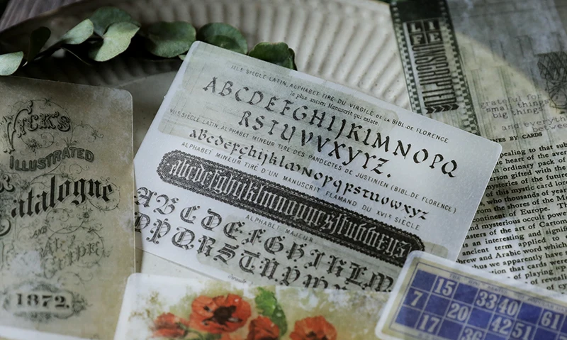 TZ567详情 (17)