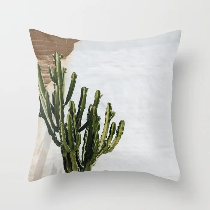 california-cactus566805-pillow