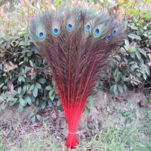 100 Pcs/Lot Red Real Peacock Feathers For Crafts 25-30cm dress is with Home  Diy