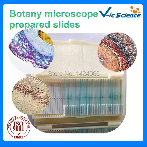 

High Quality Botany Microscope Prepared Slides