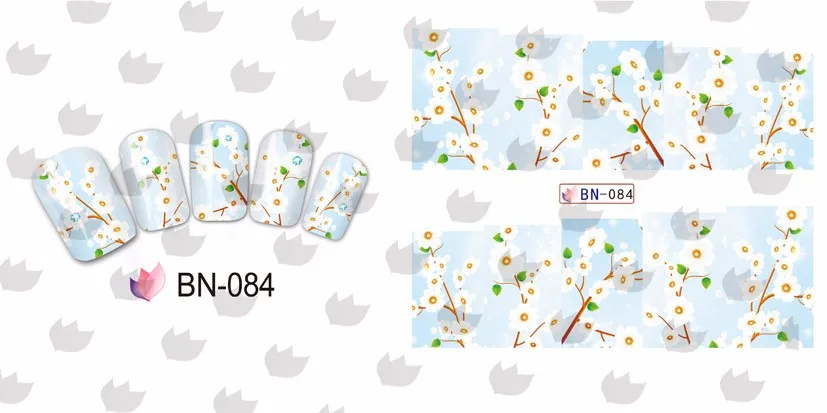 BN-084