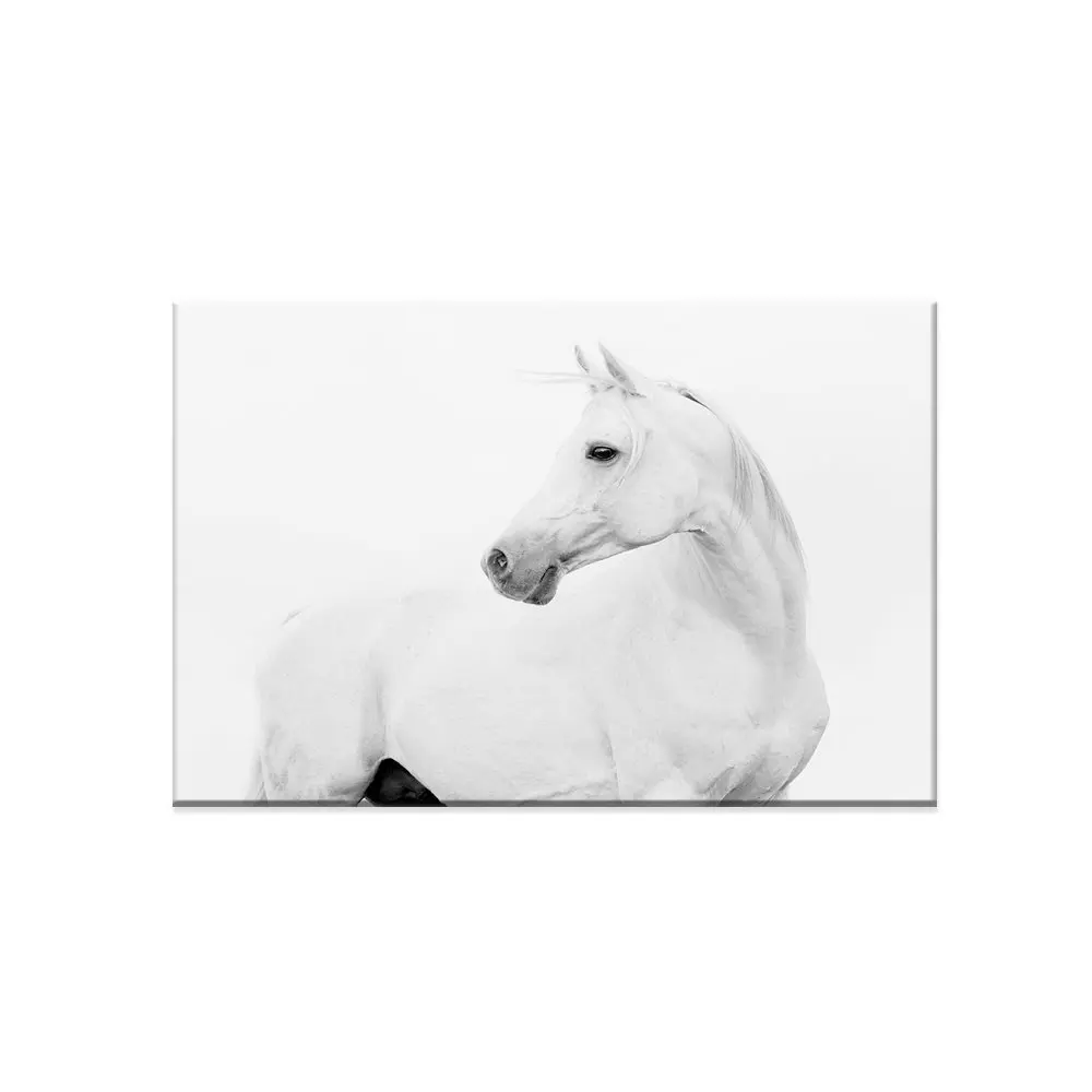 51r5KFi3KfL._SL1000_