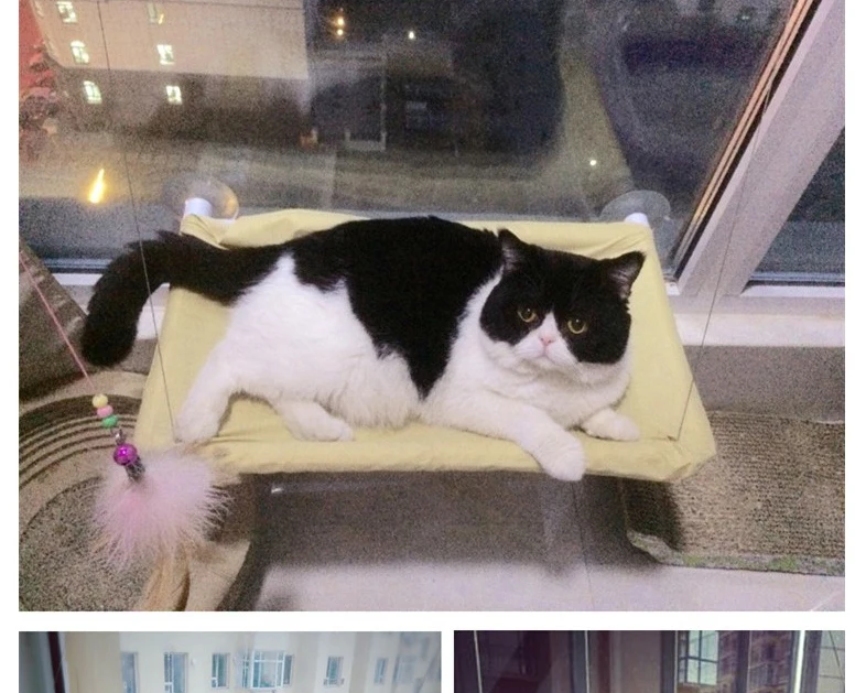 Быстрая Cat кровать-гамак кровать крепление окна Pod лежак присоски дом подоконник подвесное гнездо Кама gatoPet продукты