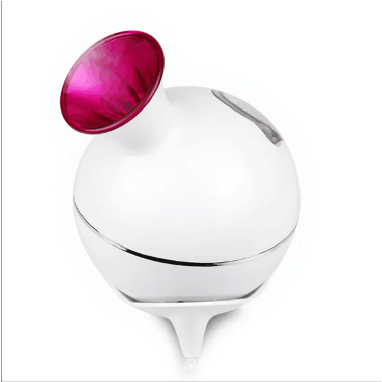 Facial steamer1 (1)